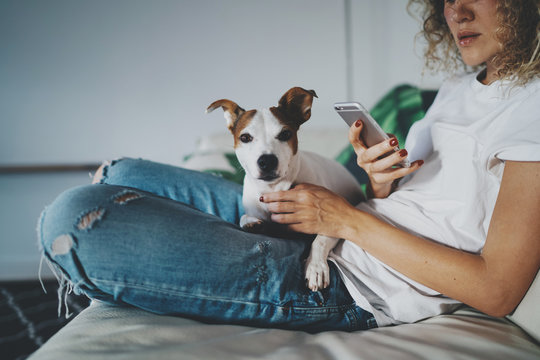 Cropped photo of a young hipster girl wearing in a blue jeans and white T-shirt writing text message on a modern mobile phone while sitting on sofa in light home interior with funny dog.
