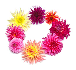 Bouquet of creative multi-colored flowers dahlia isolated on white background. Flat lay, top view. Wreath, flora
