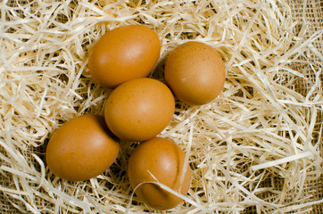Chicken eggs lie in the hay. Family holiday Easter