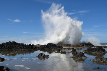 Fototapeta Sea spray from a ocean wave splashing dramatically upa against  a rocky shoreline in the Cape Perpetua Scenic Area along the Oregon Coast obraz