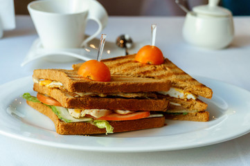 two delicious Panini sandwich on a white plate