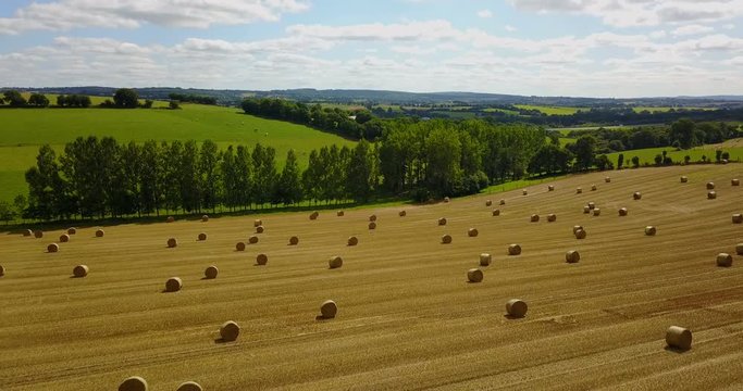 Hay bales in field during harvest season
