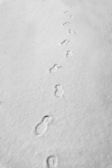 human footprints on the snow, winter path