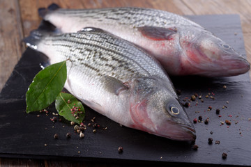 Sunshine bass fish on a table