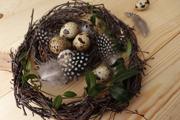 Naklejka na ściany i meble Quail eggs and feathers in the nest. Selective focus.