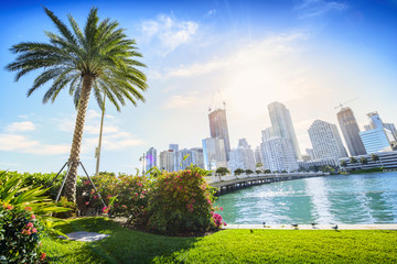 Sunshine Miami. Located in Downtown Miami, Florida, USA. - obrazy, fototapety, plakaty