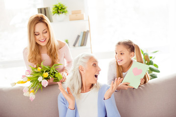 Retirement friendship motherhood happiness generation pensioner granny old grandma concept. Beautiful cheerful joyful cute lovely sweet touching adorable family greeting impressed granny