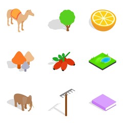 Animate icons set, isometric style