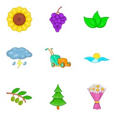 Pollination icons set, cartoon style