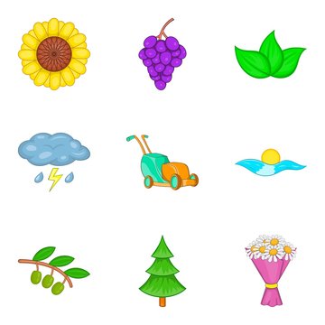 Pollination icons set, cartoon style