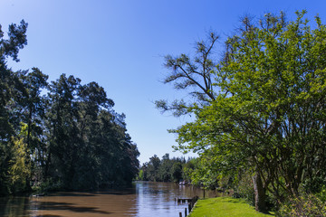 Rio del tigre