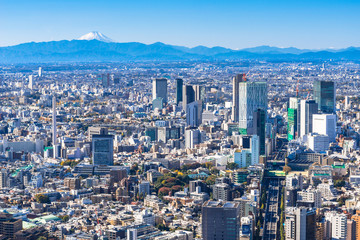 Obraz premium 東京都心から眺める富士山