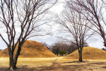 Naklejka premium noseori gobungun in gyeongju