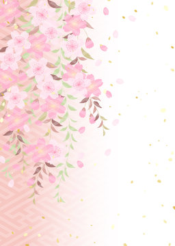 枝垂れ桜 柳