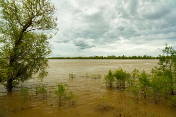 Mississippi River