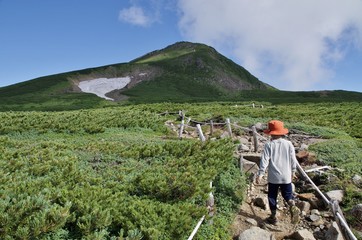 日本の夏の山を登る子供たち