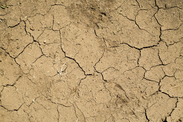 Arid ground background - texture