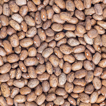 Uncooked dry pinto beans on a gray concrete background, top view, square format