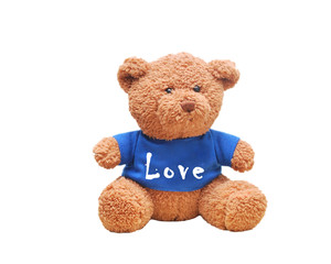 Brown teddy bear wear blue shirt. Typo wording 