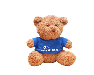 Brown teddy bear wear blue shirt. Typo wording "Love" on shirt. Relationship concept