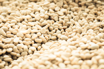 parchment coffee in hand 