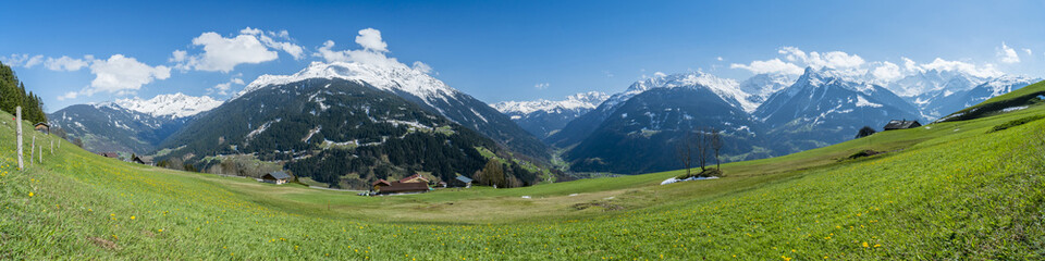 Frühling in der Natur