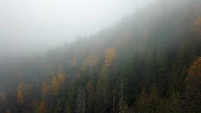 Aerial view of the mountains with a morning fog