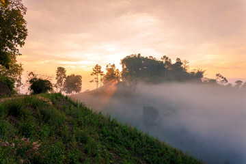 Mountain and fog at morning time with sun ray, beautiful landscape