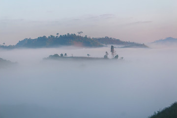 Fog path through the mountain farm uphill to the sky at morning time.