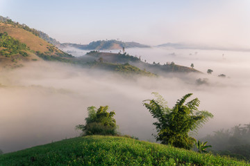 Fog path through the mountain farm uphill to the sky at morning time.