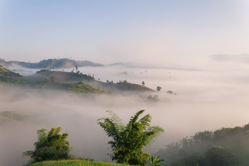 Fog path through the mountain farm uphill to the sky at morning time.