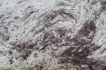 wood texture background . surface of old dark vintage wall , nature design of tree pattern . wooden table material is grunge style .