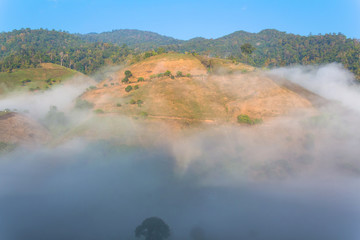 Fog path through the mountain farm uphill to the sky at morning time.