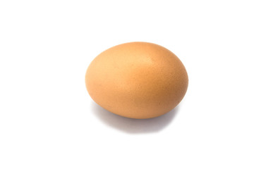 Isolated single egg on white background with shadow under it. One egg on white background.