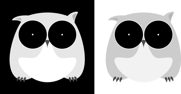 minimalistic owl isolated on a dark background design business logo