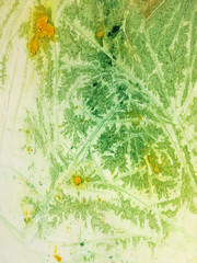 Naklejka premium Bacterial