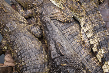 Fototapeta premium Tonle Sap Lake