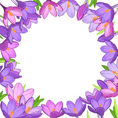 Crocus saffron floral wreath border frame template. Purple violet spring flowers green leaves. Round circle placeholder in the middle. White background. Vector design illustration.