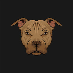 Head of bulldog, face of pet animal hand drawn vector Illustration