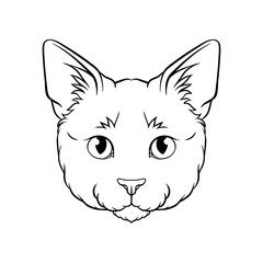 Black and white sketch of cats head, face of pet animal hand drawn vector Illustration