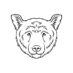 Black and white sketch of bears head, face of wild animal hand drawn vector Illustration