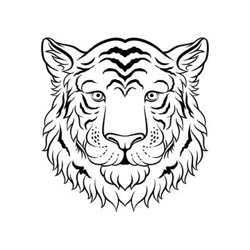 Black and white sketch of tigers head, face of wild animal hand drawn vector Illustration