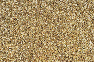 soybeans selling on market