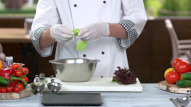 Chef ripping lettuce. Salad preparation, cooking table.