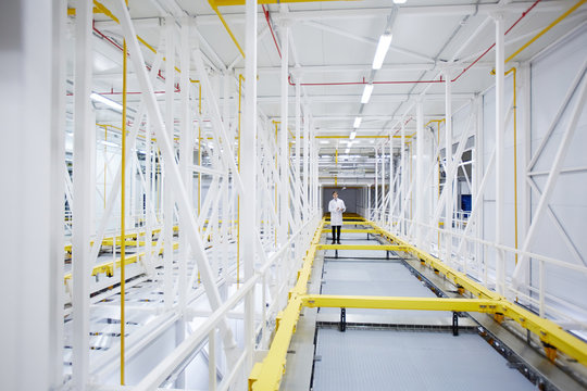 Long aisle in modern mining farm with young engineer standing in the middle of it