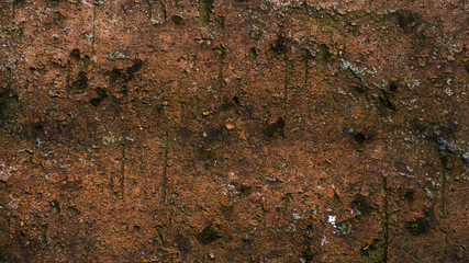 Red grunge texture