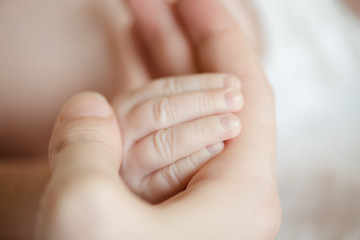 Mother holding child's hand
