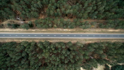 Asphalt road and autumn forest from a bird's eye view. Aerial photography of nature
