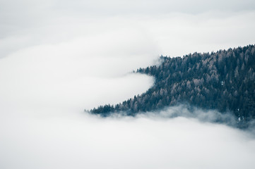 Fototapety  Mgła w lesie. Dolomity, Włochy