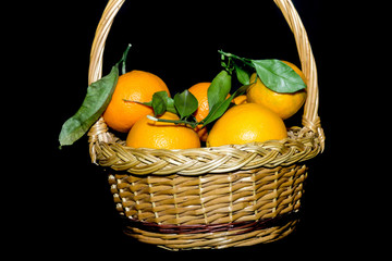 Fresh Juicy Mandarins